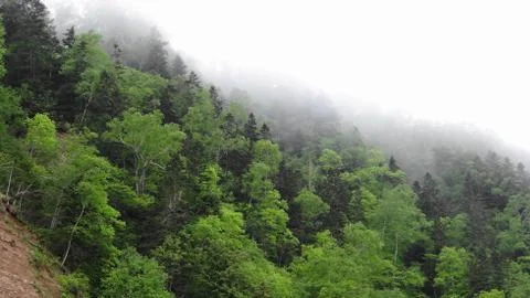 Sakhalin Stock Photos