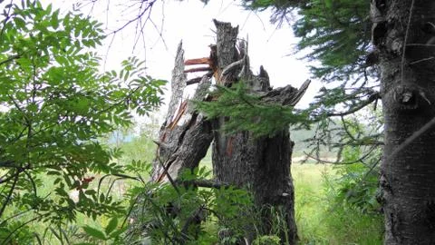 Sakhalin Stock Photos