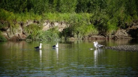 Sakhalin Foto stock