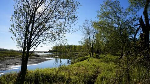 Sakhalin Stock Photos