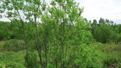 Sakhalin Roads Stock Footage 76487468