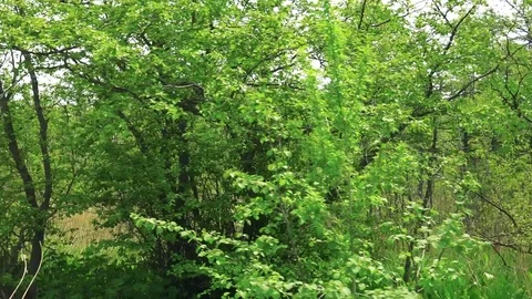 Sakhalin Roads Stock Footage 76487578