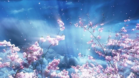 Sakura And Fantasy Sky Vídeo Stock 102429966