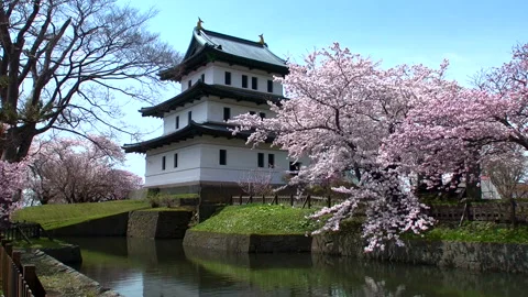 Sakura and Matsumae Castle Vídeo Stock 332378076
