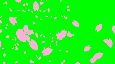 Sakura animation Stock Footage 117095187