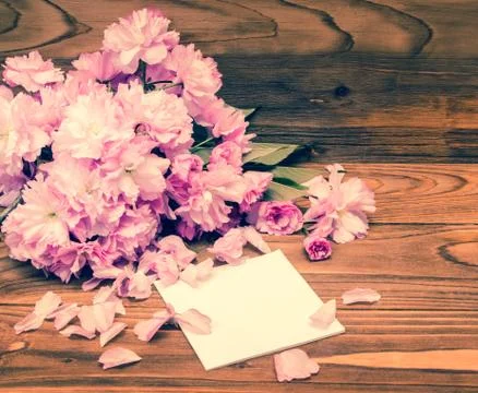 Sakura  background Stock Photos