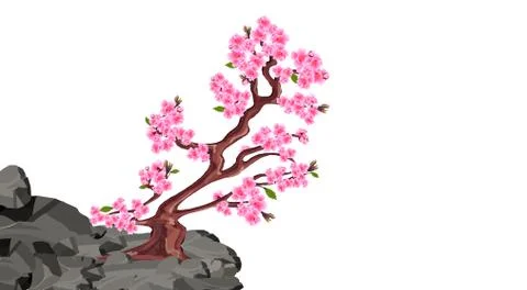 Sakura blooms. Cherry tree on a stone cliff in the mountains. illustration Stock Illustration