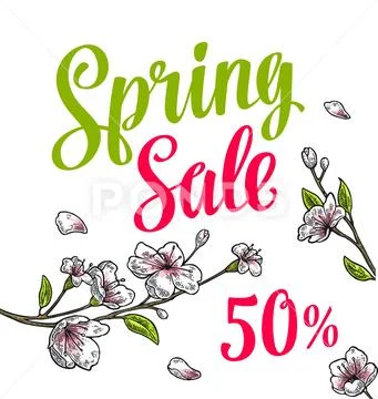 Sakura blossom. Cherry branch with flowers, bud. Spring Sale lettering. Stock Illustration