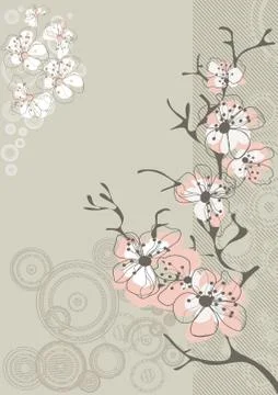 Sakura blossom on gray background Stock Illustration