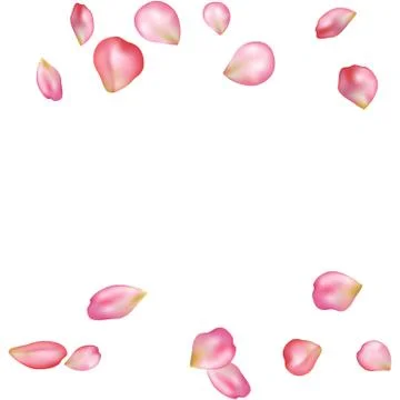 Sakura blossoms blank background template. Stock Illustration