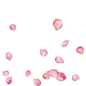 Sakura blossoms blank background template. Stock Illustration