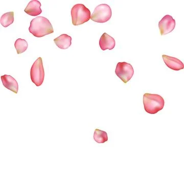Sakura blossoms blank background template. Stock Illustration
