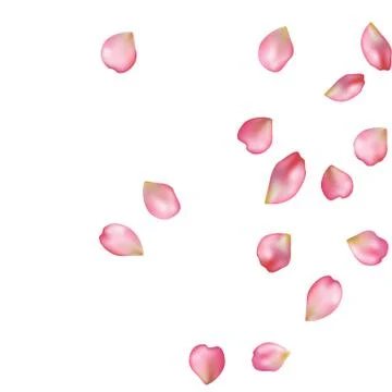 Sakura blossoms blank background template. Stock Illustration