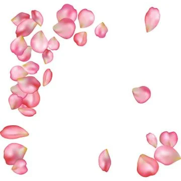 Sakura blossoms blank background template. Stock Illustration