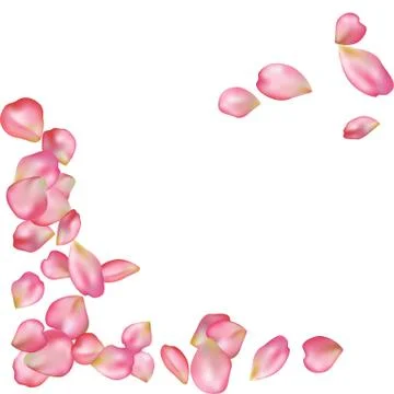 Sakura blossoms blank background template. Stock Illustration