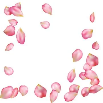 Sakura blossoms blank background template. Stock Illustration