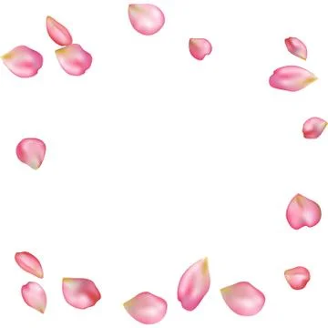 Sakura blossoms blank background template. Stock Illustration
