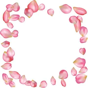 Sakura blossoms blank background template. Stock Illustration