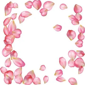 Sakura blossoms blank background template. Stock Illustration