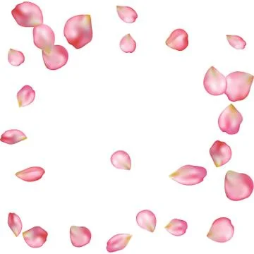 Sakura blossoms blank background template. Stock Illustration