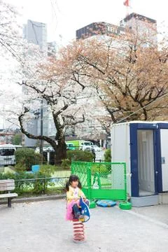 Sakura blossoms Stock Photos