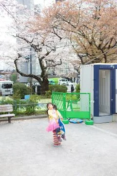 Sakura blossoms Stock Photos