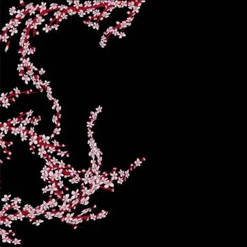 Sakura branch black background vector illustration eps 10. Stock Illustration