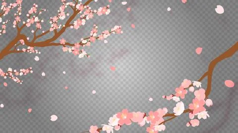 Sakura branch with falling petals Vector illustration. Pink Cherry blossom on Stockillustratie