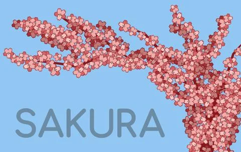 Sakura branches on a blue background. Small pink flowers. Japanese cherry b.. Stock-Illustration