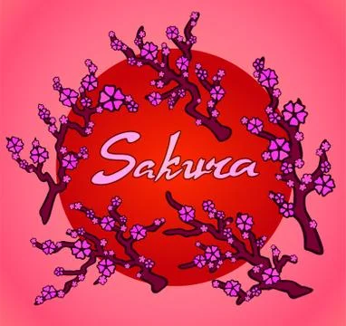Sakura branches with text on pink background Stock Illustration