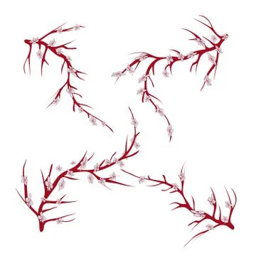 Sakura branches on a white background vector illustration eps 10. Stock Illustration
