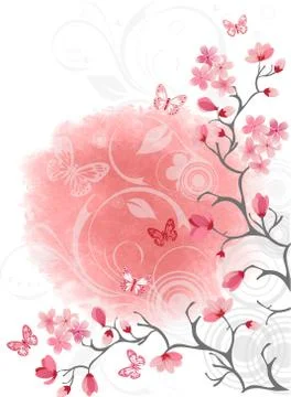 Sakura. Cherry blossom background. Vector Stock Illustration