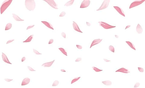 Sakura, Cherry blossom petals vector art overlay. Stock Illustration