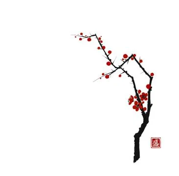 Sakura cherry tree blossom on white background. Traditional oriental ink Stock Illustration