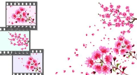 Sakura. curved branches of a cherry tree with purple small flowers and cherry Stock Illustration
