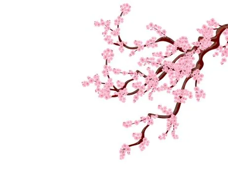 Sakura. A curved tree cherry branchs with delicate flowers and cherry buds. i Stock Illustration