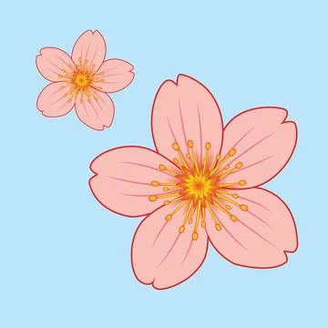 Sakura Flower illustration EPS Vector Stock Illustration