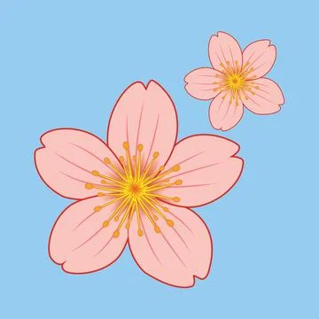 Sakura Flower illustration EPS Vector Stock Illustration