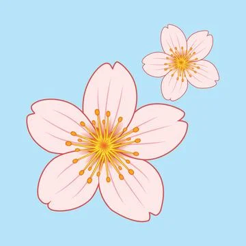Sakura Flower illustration EPS Vector Stock Illustration