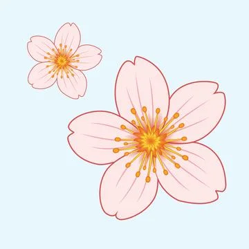 Sakura Flower illustration EPS Vector Stock Illustration