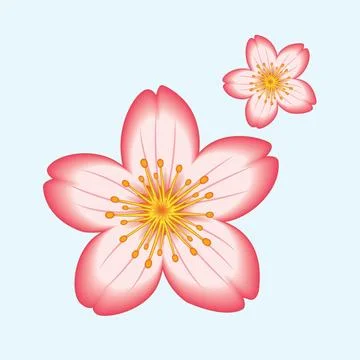 Sakura Flower illustration EPS Vector Illustrazione stock