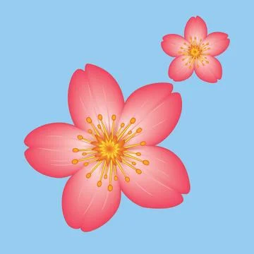 Sakura Flower illustration EPS Vector Stock Illustration