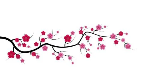 Sakura Flower Isolated on White Background. Vector Illustration EPS10 Illustrazione stock