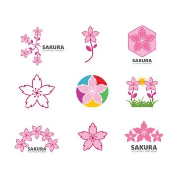 Sakura flower vector illustration design Illustrazione stock