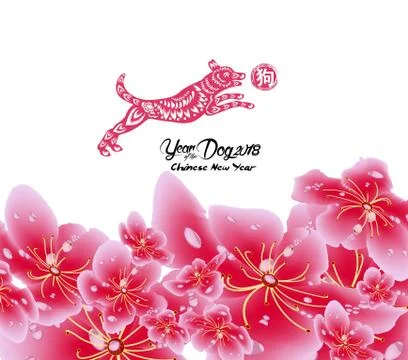 Sakura flowers background. Cherry blossom isolated white background. Chinese  Stock Illustration