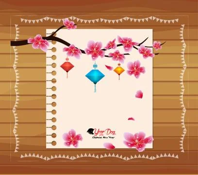 Sakura flowers background. Cherry blossom and lantern. Chinese new year (hier Stock Illustration