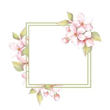 Sakura flowers frame Stock Illustration