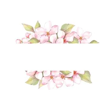 Sakura flowers frame Illustrazione stock