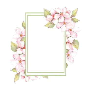 Sakura flowers frame Illustrazione stock