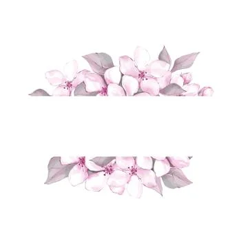 Sakura flowers frame Stock Illustration